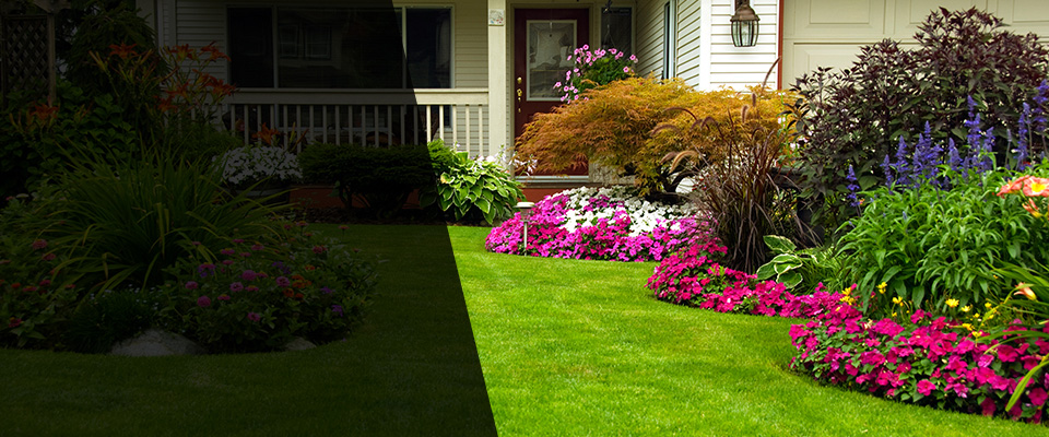 Roseville Landscapers